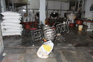 晋江突击3家食品 黑工厂 一厂查出无证食品近3吨