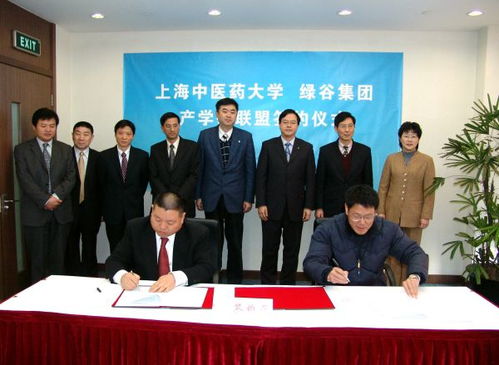 绿谷集团的绿谷沿革