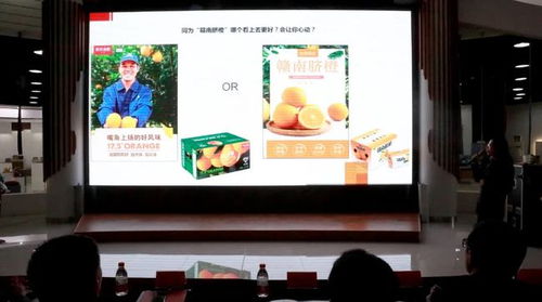 千乘杯 博兴县首届电商产品包装创意设计大赛颁奖典礼举行