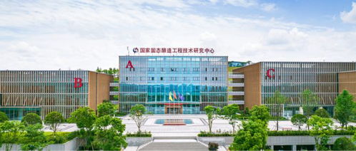 荣耀再出发,泸州老窖1952坚守浓香自信,续写中国名酒荣光