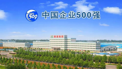 森源在许昌大会上受表彰,奖金410万 许昌市第一名